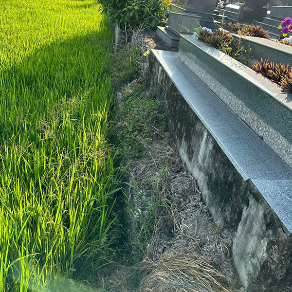 Phía ruộng